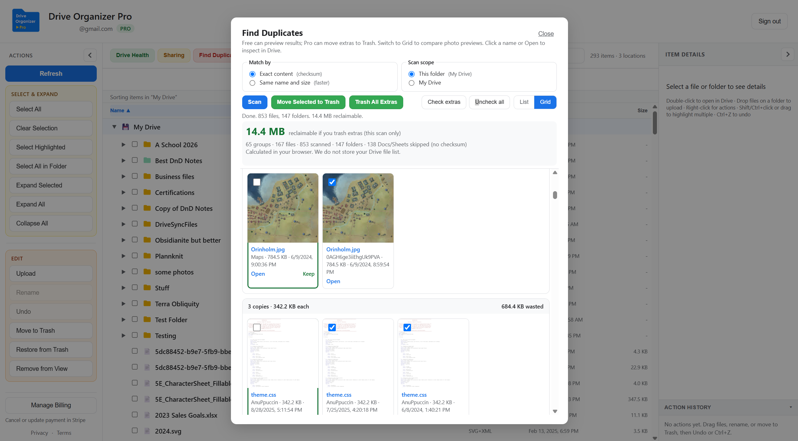 Find Duplicates grid in Drive Organizer Pro comparing photo and file copies