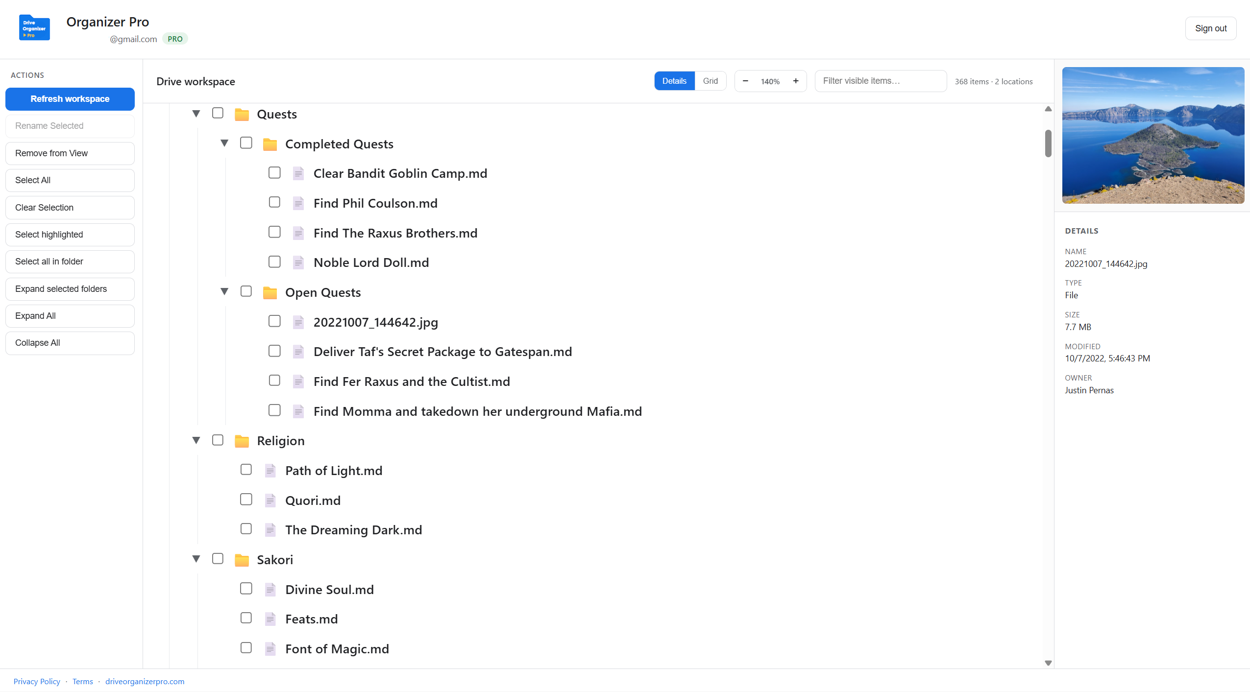 Drive Organizer Pro details view with folder tree and file list